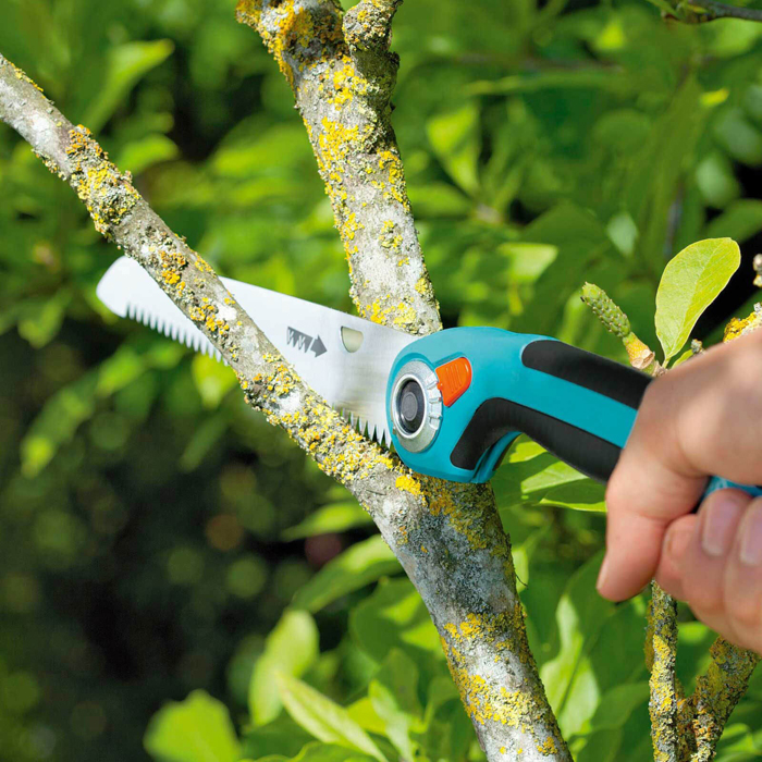 Pruning-Saws