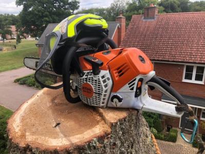 Professional Review of the Stihl 500i Chainsaw