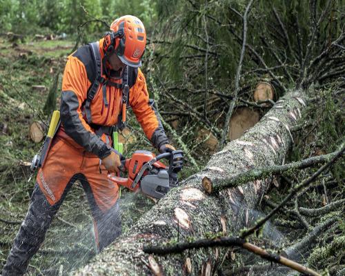 Top 5 Professional Chainsaws of 2023
