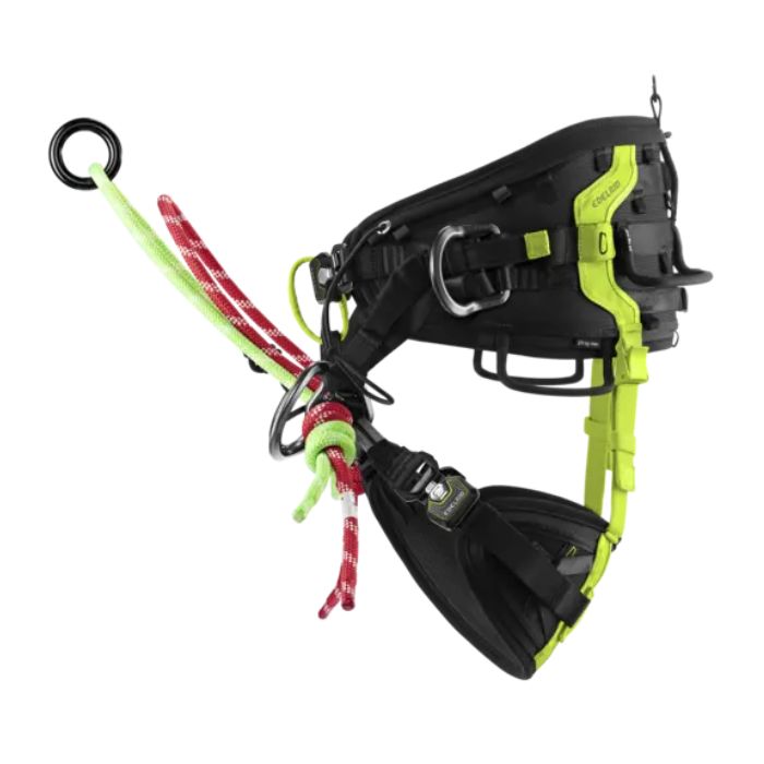 Edelrid Tree Raptor Edelrid Tree Rex Triple Lock Tree Climbing Harness